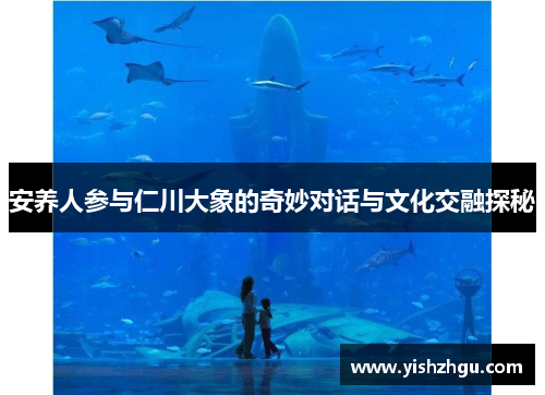 安养人参与仁川大象的奇妙对话与文化交融探秘