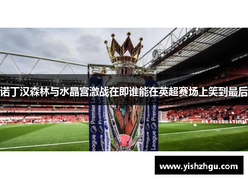 诺丁汉森林与水晶宫激战在即谁能在英超赛场上笑到最后